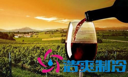 上海12℃恒溫紅酒冷庫(kù)