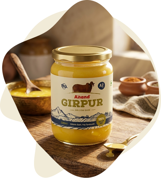 Two jars of Anand Girpur A2 Desi Ghee